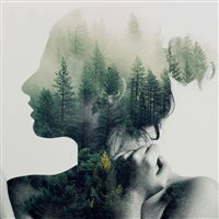 6686体育初级作者Esme